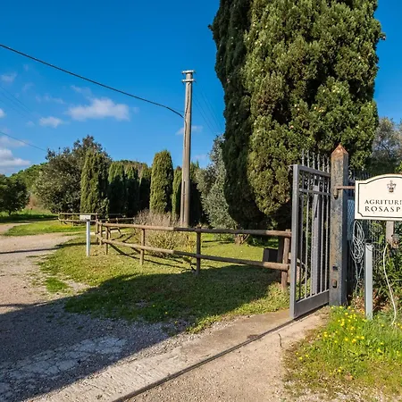 Alojamento de Turismo Rural Rosaspina - 4