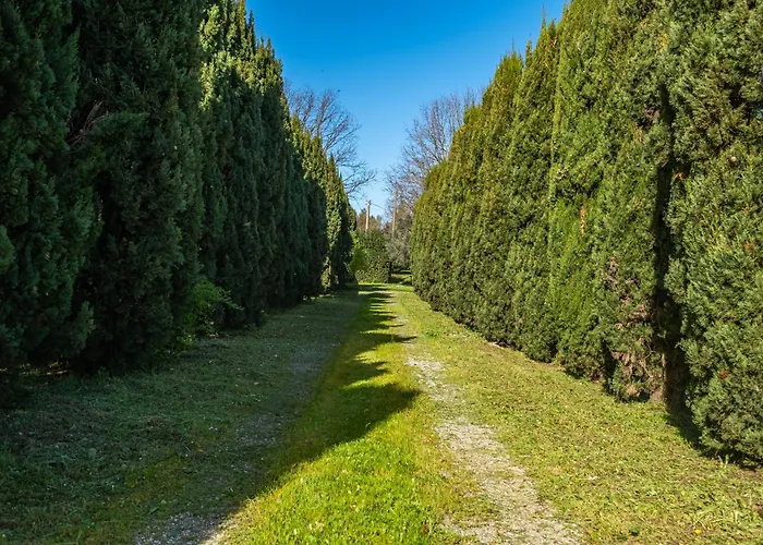 Rosaspina - 4 Agroturismo *